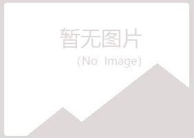 河池倾城音乐有限公司